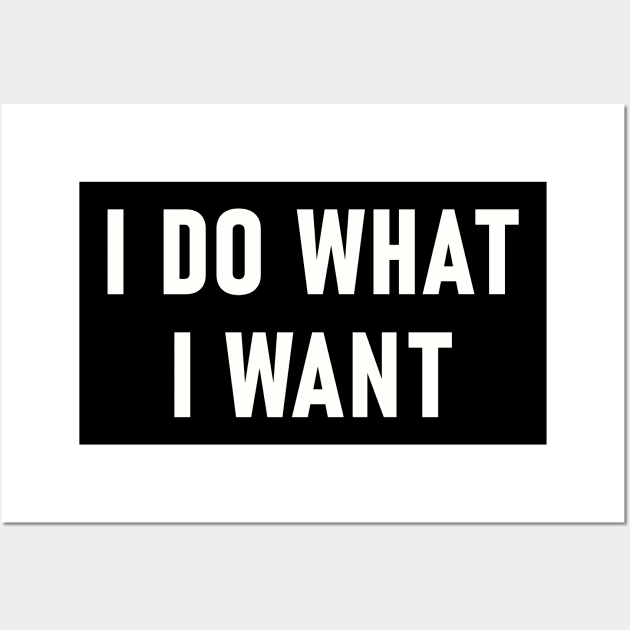 Funny Saying I Do What I Want Wall Art by Lasso Print
